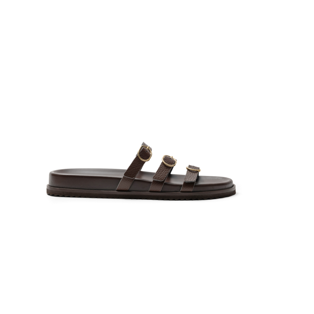 26-61305 BROWN (2)